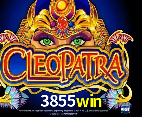 3855win Curitiba - Live Status